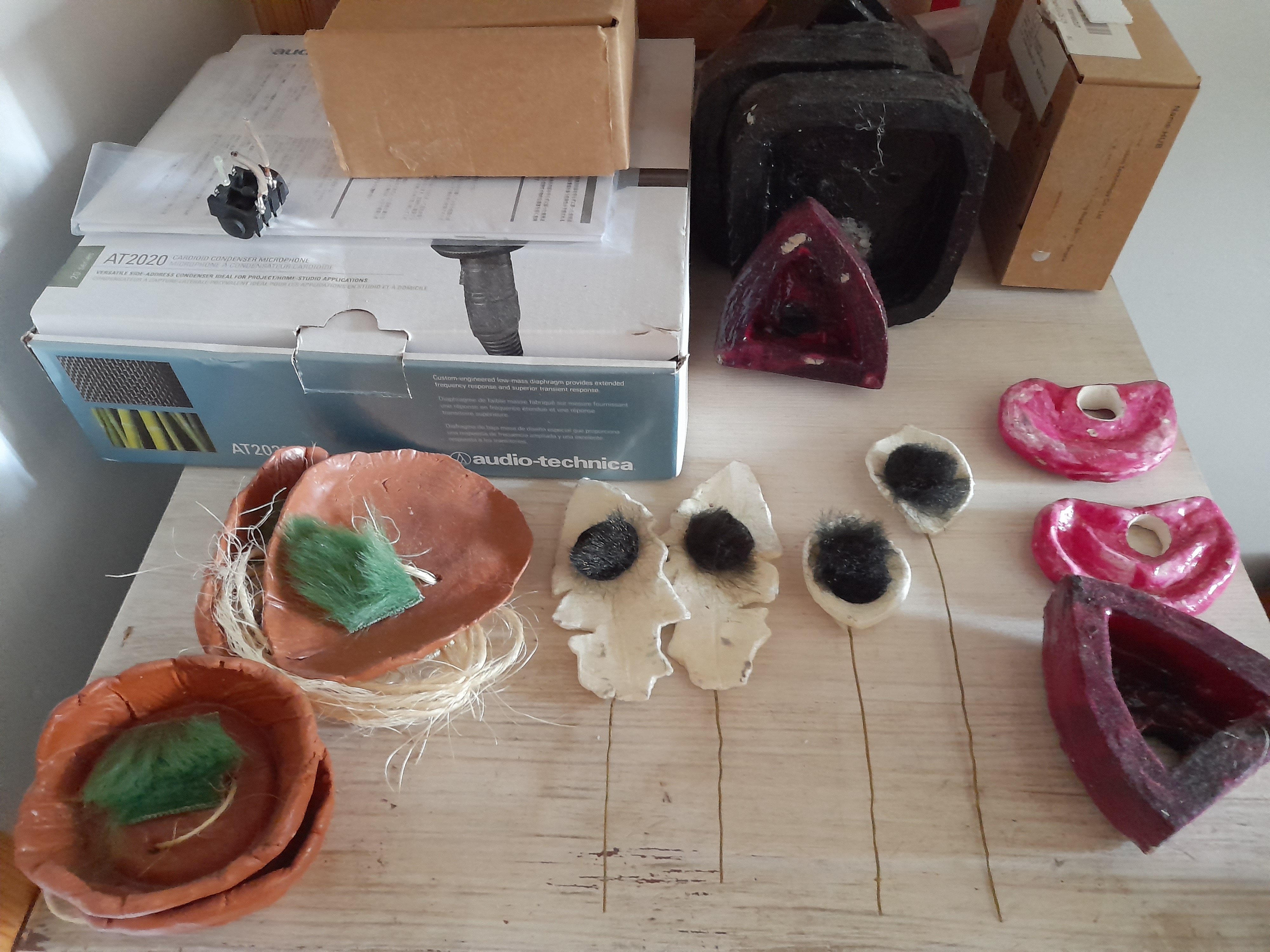 the capsule mounts